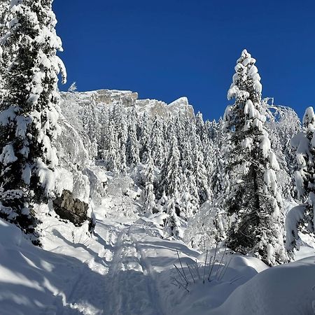 Chalet Du Grand Cerf Servoz Kültér fotó