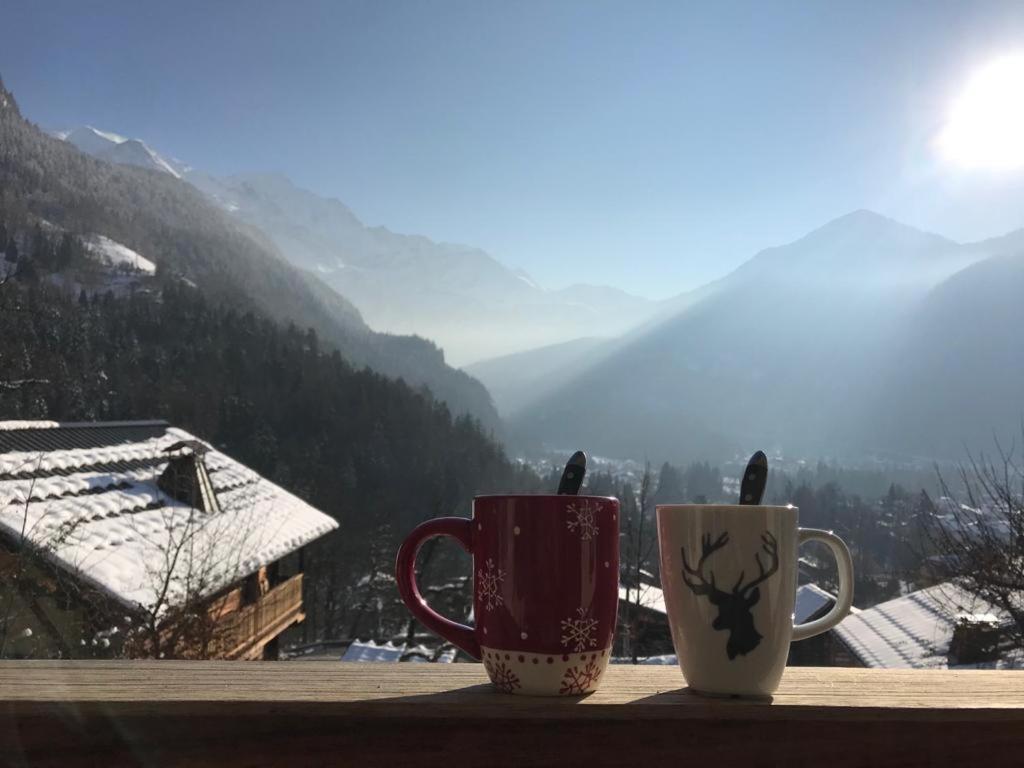 Chalet Du Grand Cerf Servoz Kültér fotó