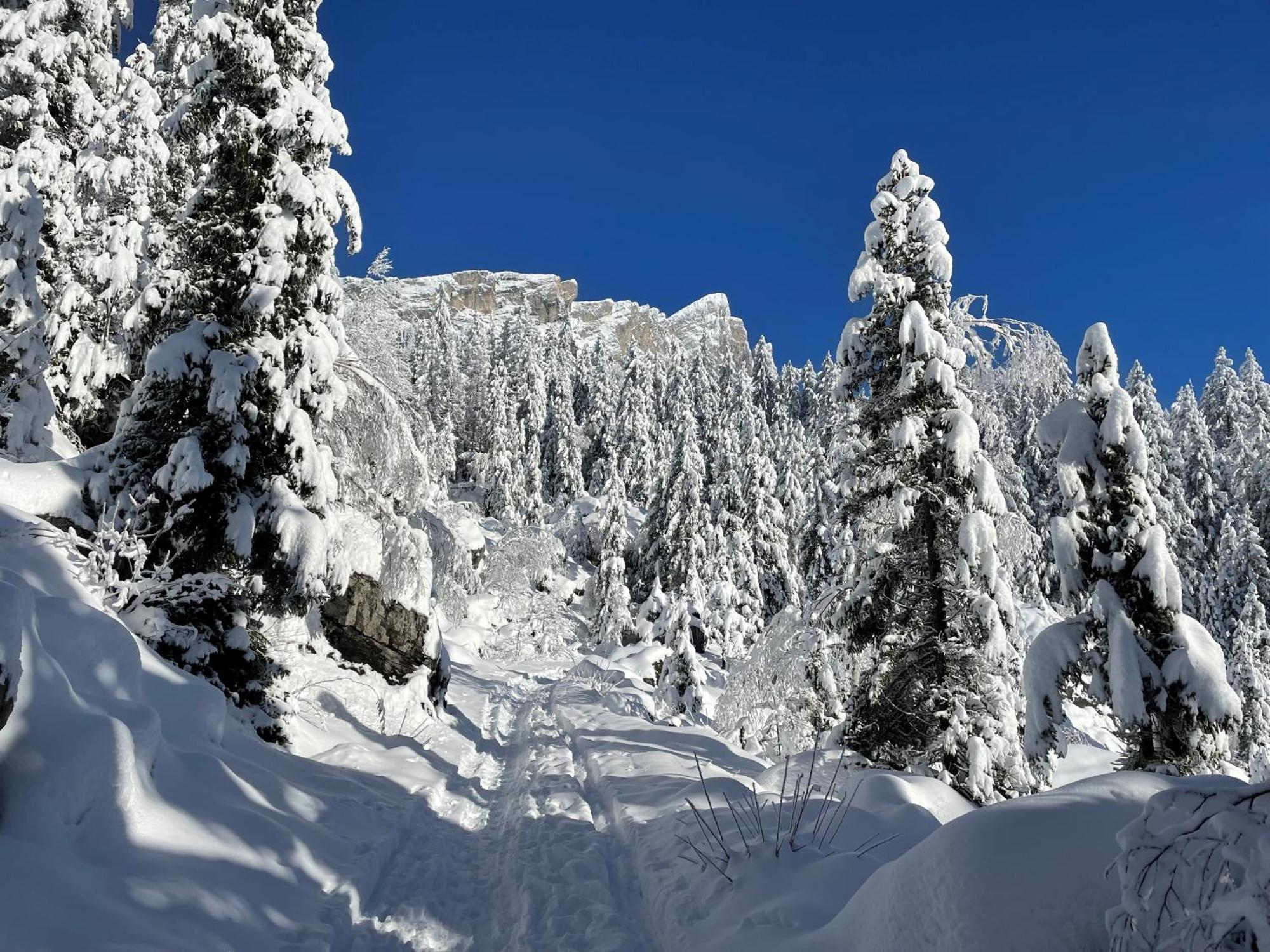 Chalet Du Grand Cerf Servoz Kültér fotó